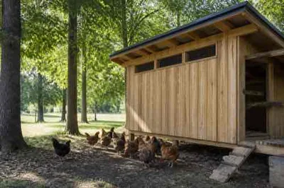 Chicken coop high vents providing warm-weather airflow