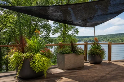 How to create shade for container plants without building a structure