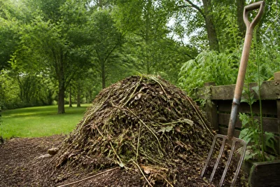 How to use garden trimmings in a simple backyard compost