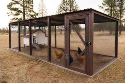 Secure covered chicken run with predator-resistant mesh