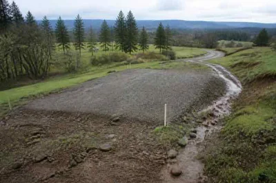 Rural shed location selected for drainage and access