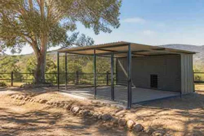 Outdoor dog kennel on high dry shaded ground