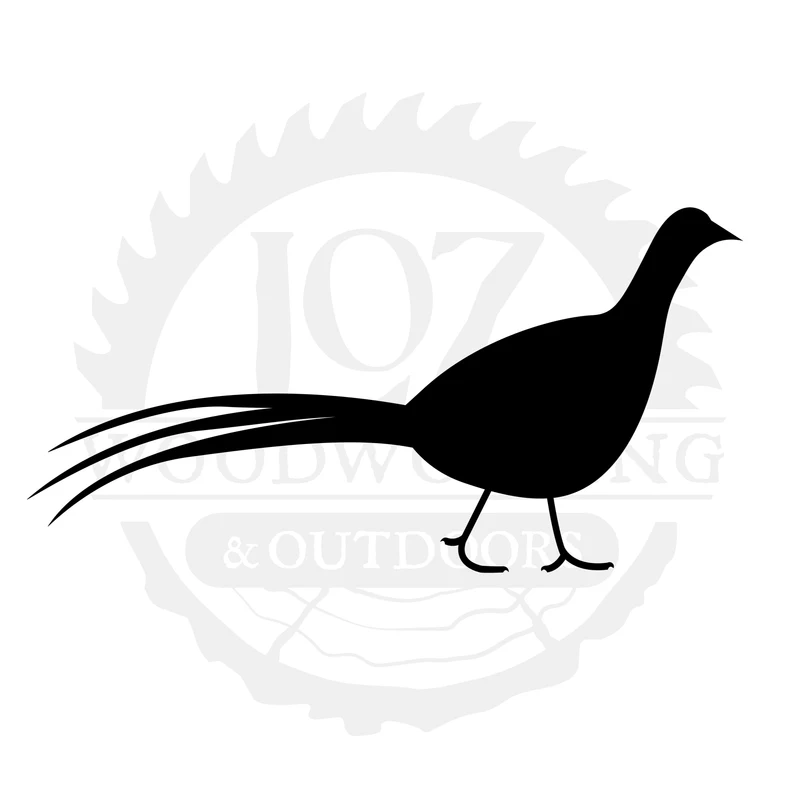 Roadrunner Silhouette SVG design